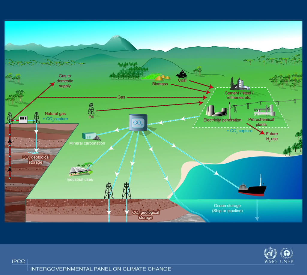 The science behind bioenergy with carbon capture and storage