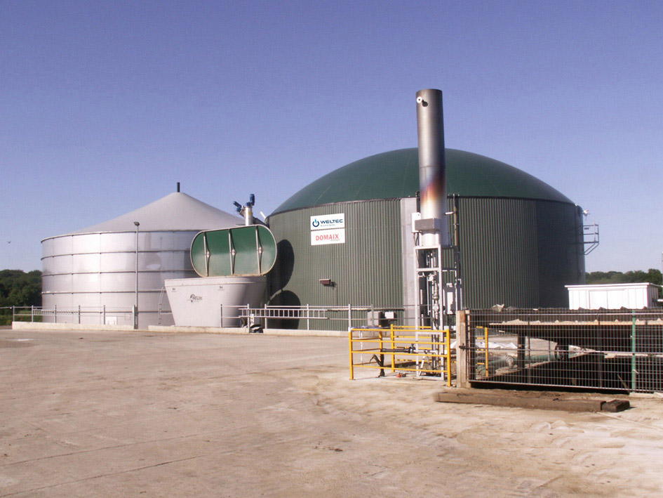 France launches tenders for wood and biogas-fired plants