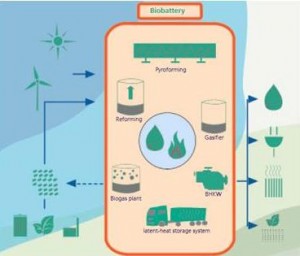 biobattery concept options