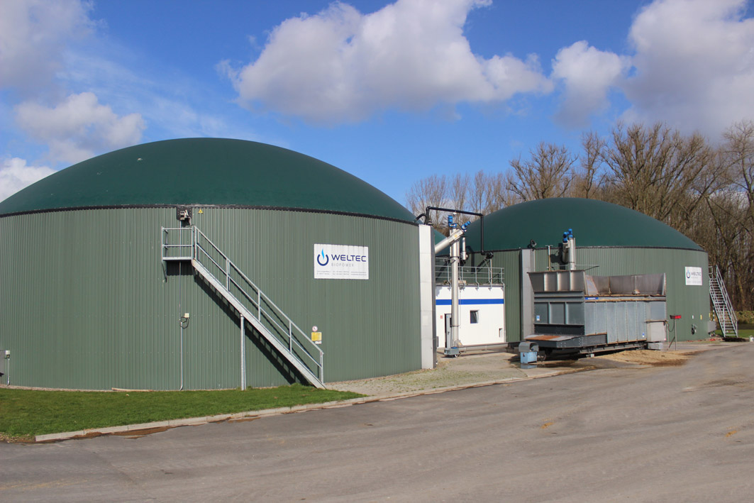 Weltec Biopower Builds 500 kW Biogas Plant for Vegetable Producer