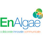 Final EnAlgae report card published ahead of close out