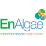 Developing the algal bioeconomy – EnAlgae launches documentary