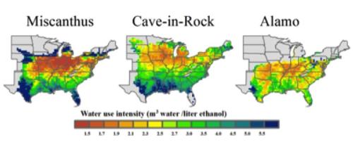 Best regions for growing bioenergy crops in the US