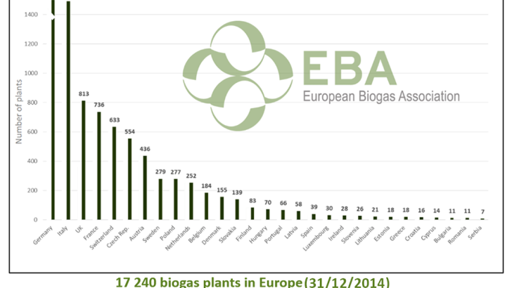 Biogas and Biomethane Report 2015: Results and future trends