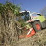 Assessing the socio-economic benefits of biomass supply chains