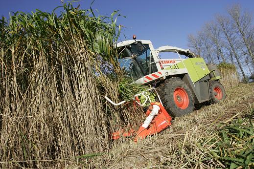 Assessing the socio-economic benefits of biomass supply chains