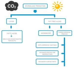 BISIGODOS project scheme. 