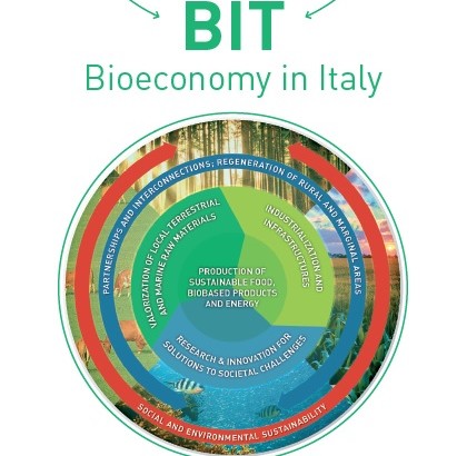 Italy opens public consultation on the adoption of a bioeconomy strategy
