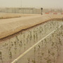 An integrated bioenergy and aquaculture system in the desert of Abu Dhabi