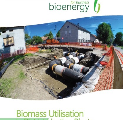 Promoting biomass heating in non residential buildings