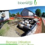 Promoting biomass heating in non residential buildings