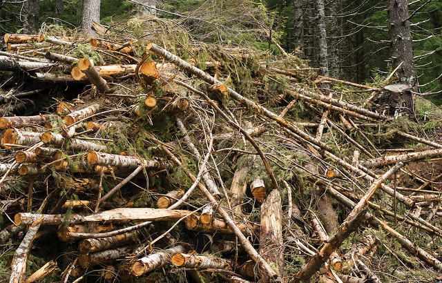 Forest residues for bioenergy with CCS – a tool for global cooling?