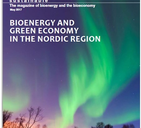 BE-Sustainable Magazine June 2017