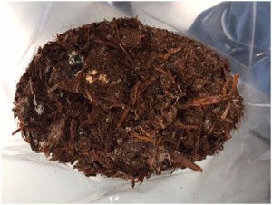 Mushroom compost sample (CENER)