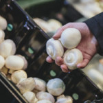 Monaghan Mushrooms. Source: BIOrescue