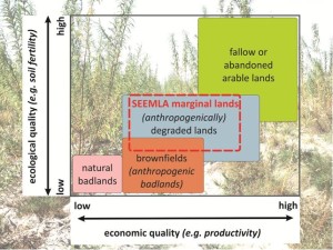 Figure 1: SEEMLA definition of marginal lands