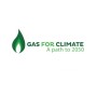 Smart use of renewable gas to meet climate targets in an affordable way