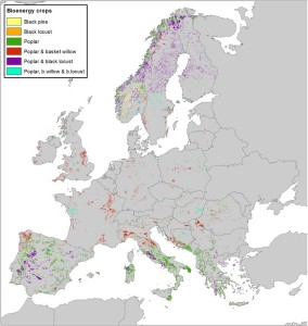 Figure 3. Identified marginal land appropriate for biomass production using selected bioenergy crops, based on the SEEMLA GIS tool.