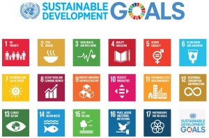 Sustainability Development Goals (SDG). Source: United Nations