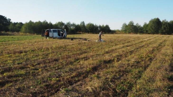 Unveiling the bioenergy potential of marginal lands through geospatial analysis