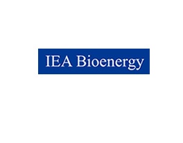 IEA “Bioenergy Grid Integration” Workshop – Summary and Conclusions