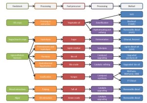  Overview of different feedstock conversion routes to marine biofuels including both conventional and advanced biofuels. Source: IEA Bioenergy