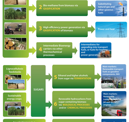 Bioenergy and Biofuels: Innovation and Technology Progress