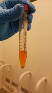 Hydrotreated biocrude sample. © Aalborg University