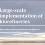 Large-Scale Biorefineries in Sweden: a Multidisciplinary Study