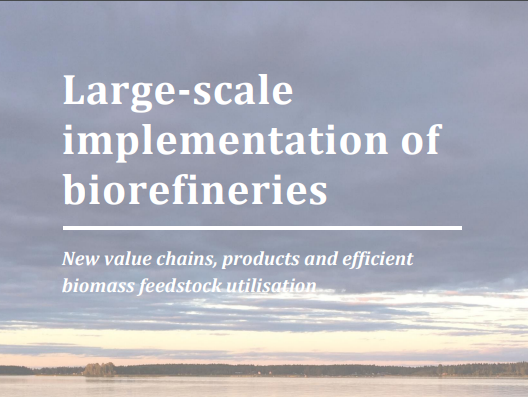 Large-Scale Biorefineries in Sweden: a Multidisciplinary Study