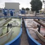 Incover: From Wastewater to Valuable Bio-Products