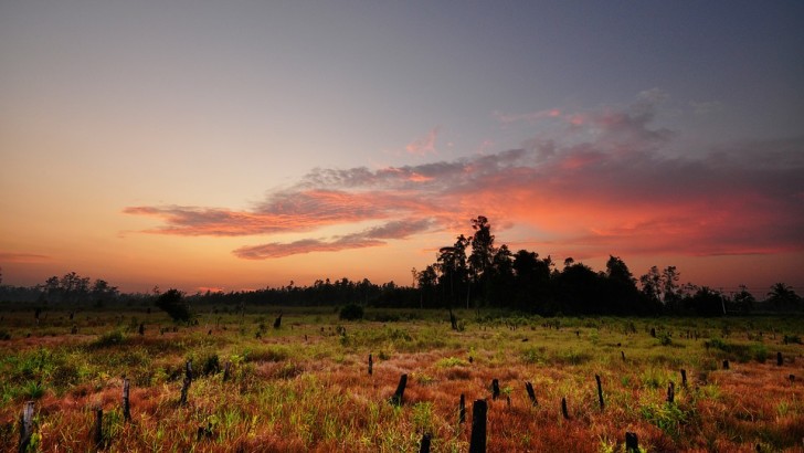 Novel Regional and Landscape-Based Approaches For Bioenergy Supply Chains