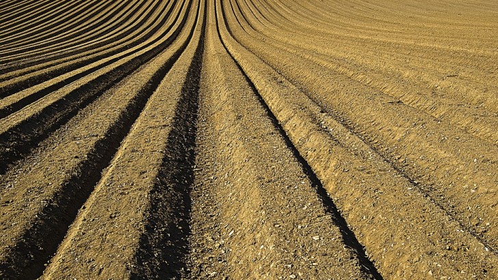 Integrated Food and Non-Food Bio-Economy Oriented Cropping Systems: Emerging Solutions