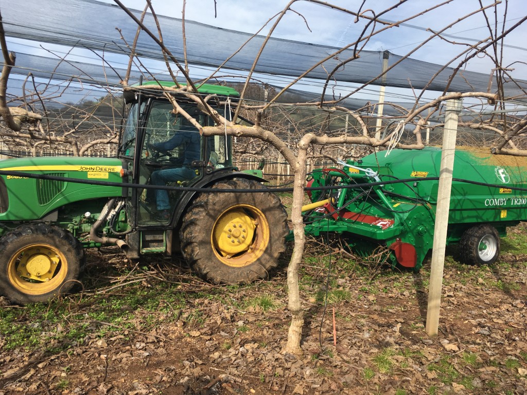 uP_running project demonstration in Greece: harvesting of kiwi prunings using a FACMA TR200 integrated harvester/shredder (Source: CERTH, uP_running)