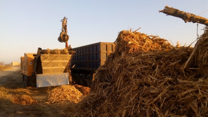 The uP_running Project: Biomass From Agrarian Prunings and Plantation Removals