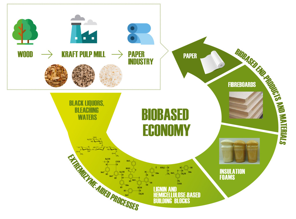 woodzymes_concept_chart