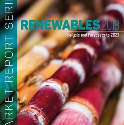 IEA “Renewables 2018” Report: an Outstanding Modern Bioenergy