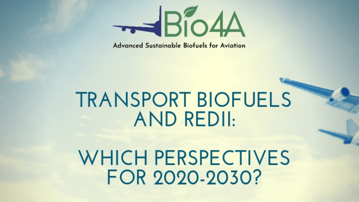 Workshop on Transport Biofuels and REDII: which perspectives for 2020-2030?