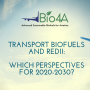 Workshop on Transport Biofuels and REDII: which perspectives for 2020-2030?