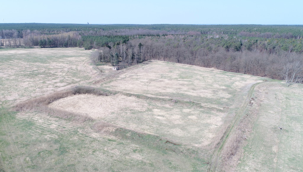 Sewage sludge irrigation fields.