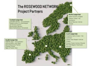 Rosewood network. 