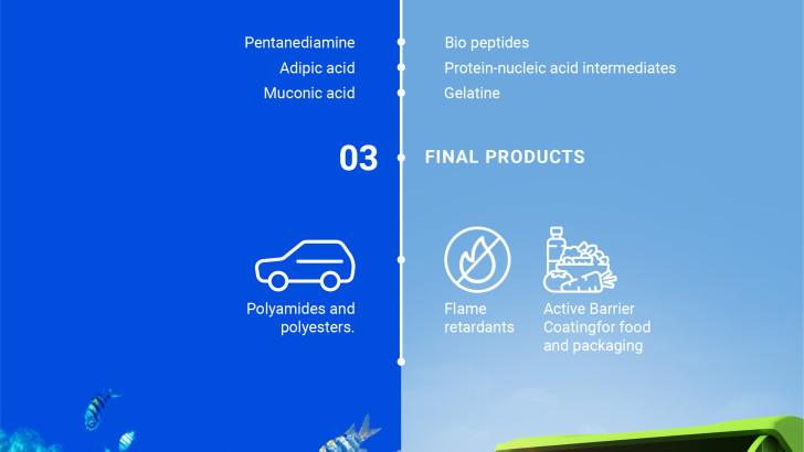 Valorising municipal solid waste and fish waste for high-added value applications: the DAFIA project