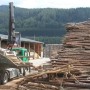 Sustainable Regional Supply Chains for Woody Bioenergy – BioRES Project