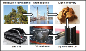 Lignin constitutes 20-30% of the tree and is available in large amounts as byproduct from pulp mills. Lignin can be melt-spun into fibres that are carbonised into carbon fibres and combined with plastic into a strong and light material. 