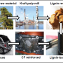 Lignin-based carbon fibre for lighter cars – GreenLight Project
