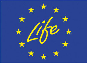 kaumera-life-logo