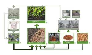 Fig. 2: Circular bioeconomy approach in SUSFERT; grey pictures are not part of this project (© RTDS)