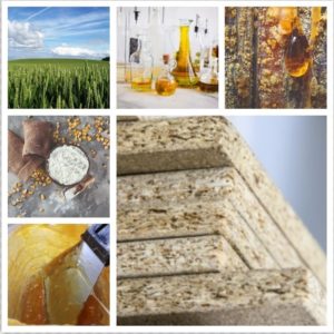 SUSBIND approach from left to right: from feedstock selection, via chemical synthesis to bio-based binder application and its testing in wood-boards © Cargill & RTDS from Shutterstock
