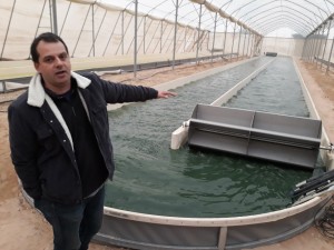 Algae production pond at Israel