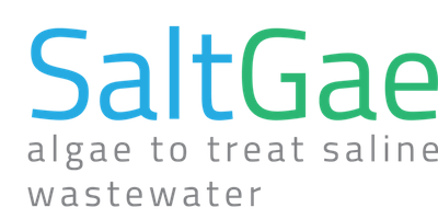 Microalgae as a sustainable alternative for wastewater treatment – The SaltGae project